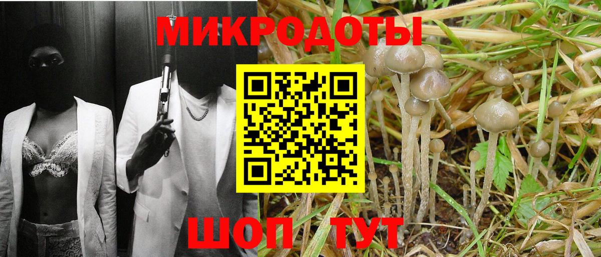 Сибай  Галлюциногенные грибы Psilocybe  Вход с VPN 