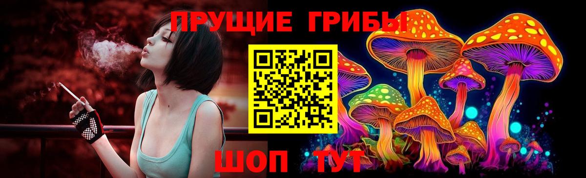 Псилоцибиновые грибы GOLDEN TEACHER Сибай